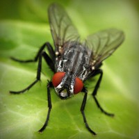 /album/terseomica/photolia-a01-jpg/