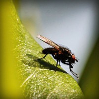 /album/terseomica/photolia-a04-jpg/